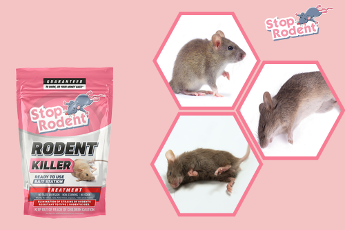 Is Stop Rodent legal in England?